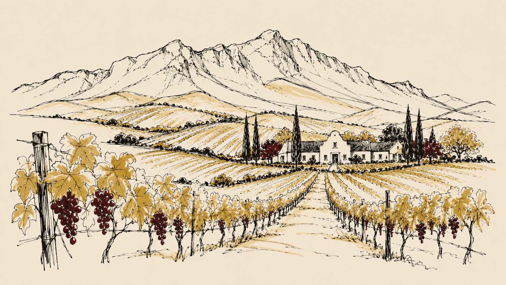 Illustrated Cape wine farm and vineyard